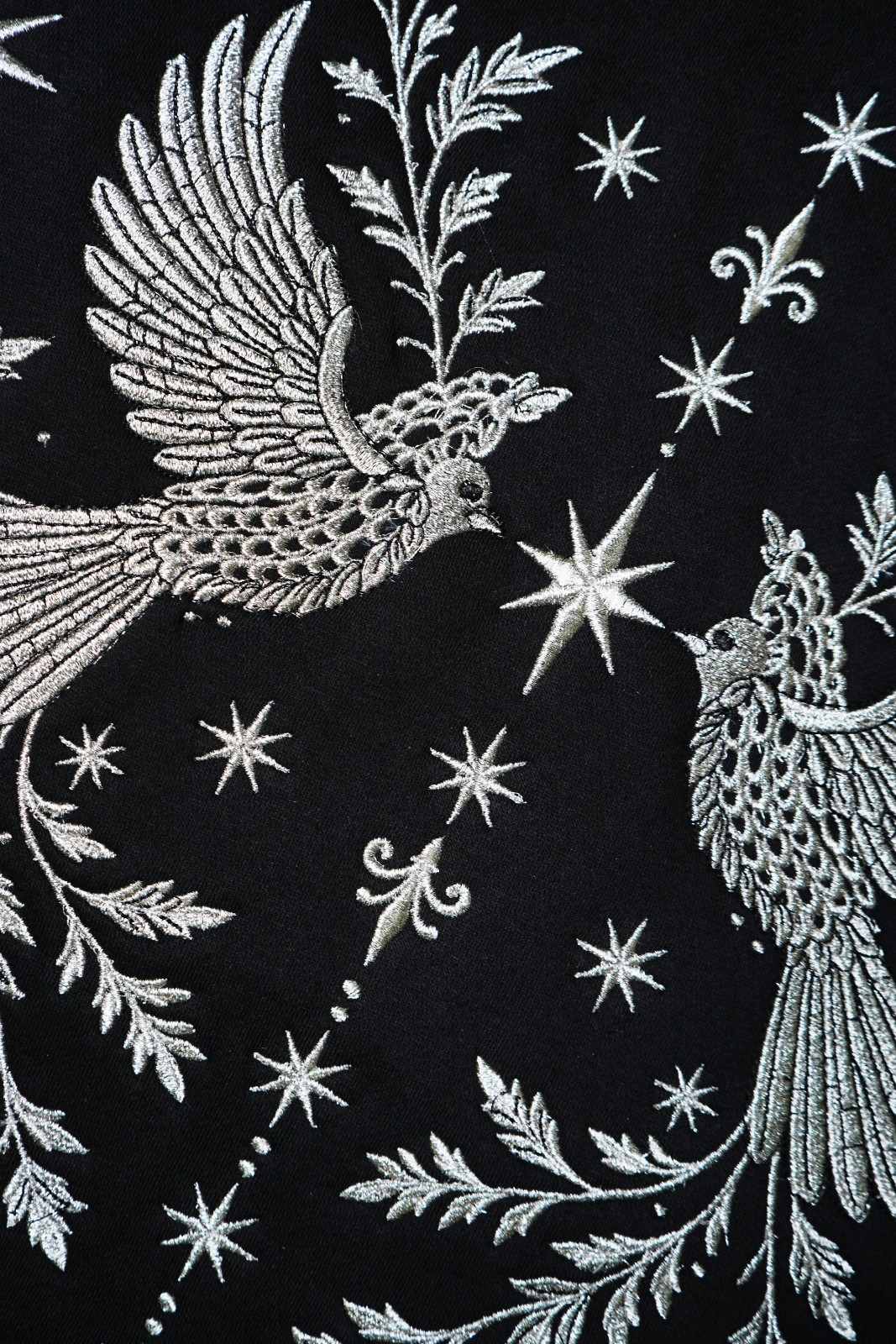 Pigeon Embroidery Oversized Hoodie